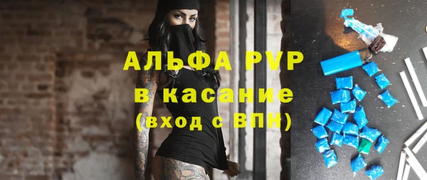 гидра Алексеевка