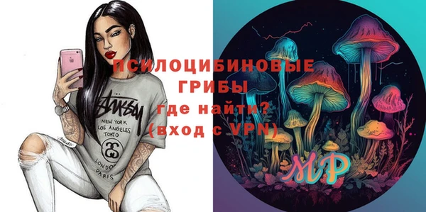 гидра Алексеевка